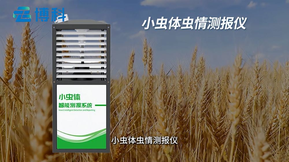 什么是小蟲體蟲情測報儀？它的作用有哪些