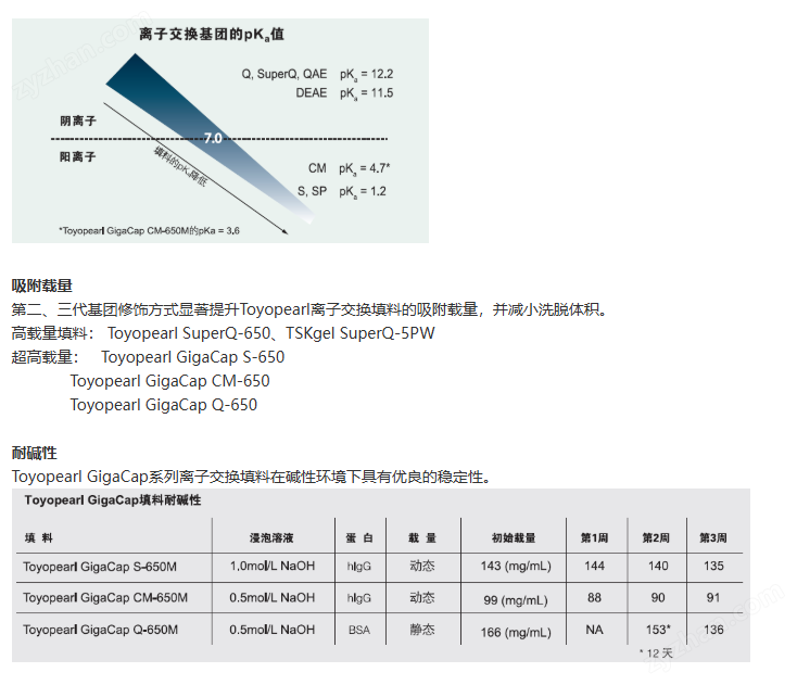 TOYOPEARL離子交換層析填料