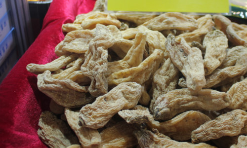 智能化、標準化、一體化：中藥研磨粉碎前處理行業的現代化之路