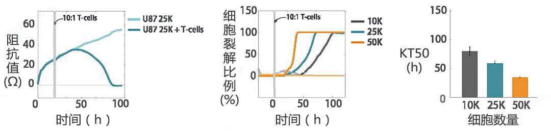 Maestro Z實時無標(biāo)記細胞分析儀 授權(quán)代理商 北京澤平