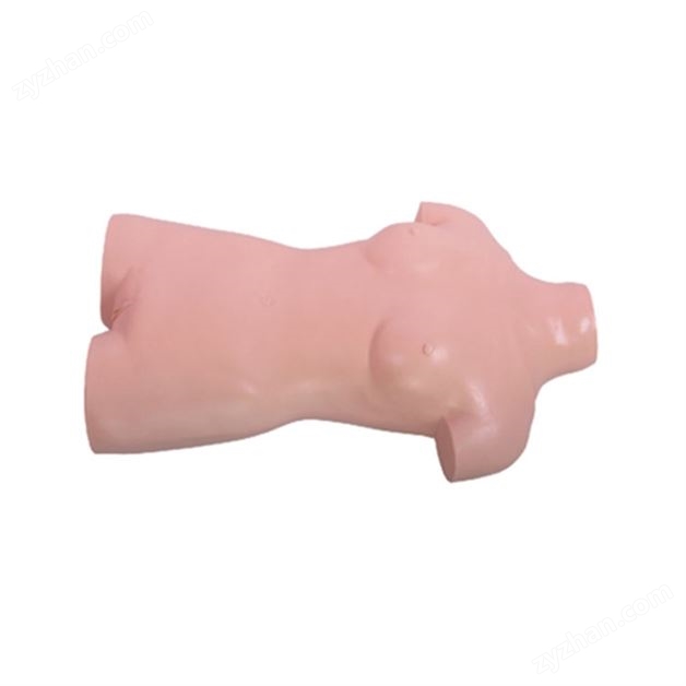 艾米立 術(shù)前無菌操作訓(xùn)練模型