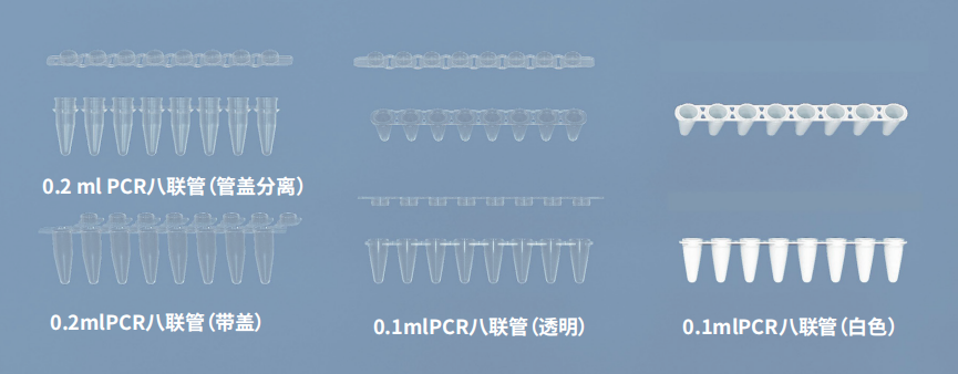 PCR 8連管.png