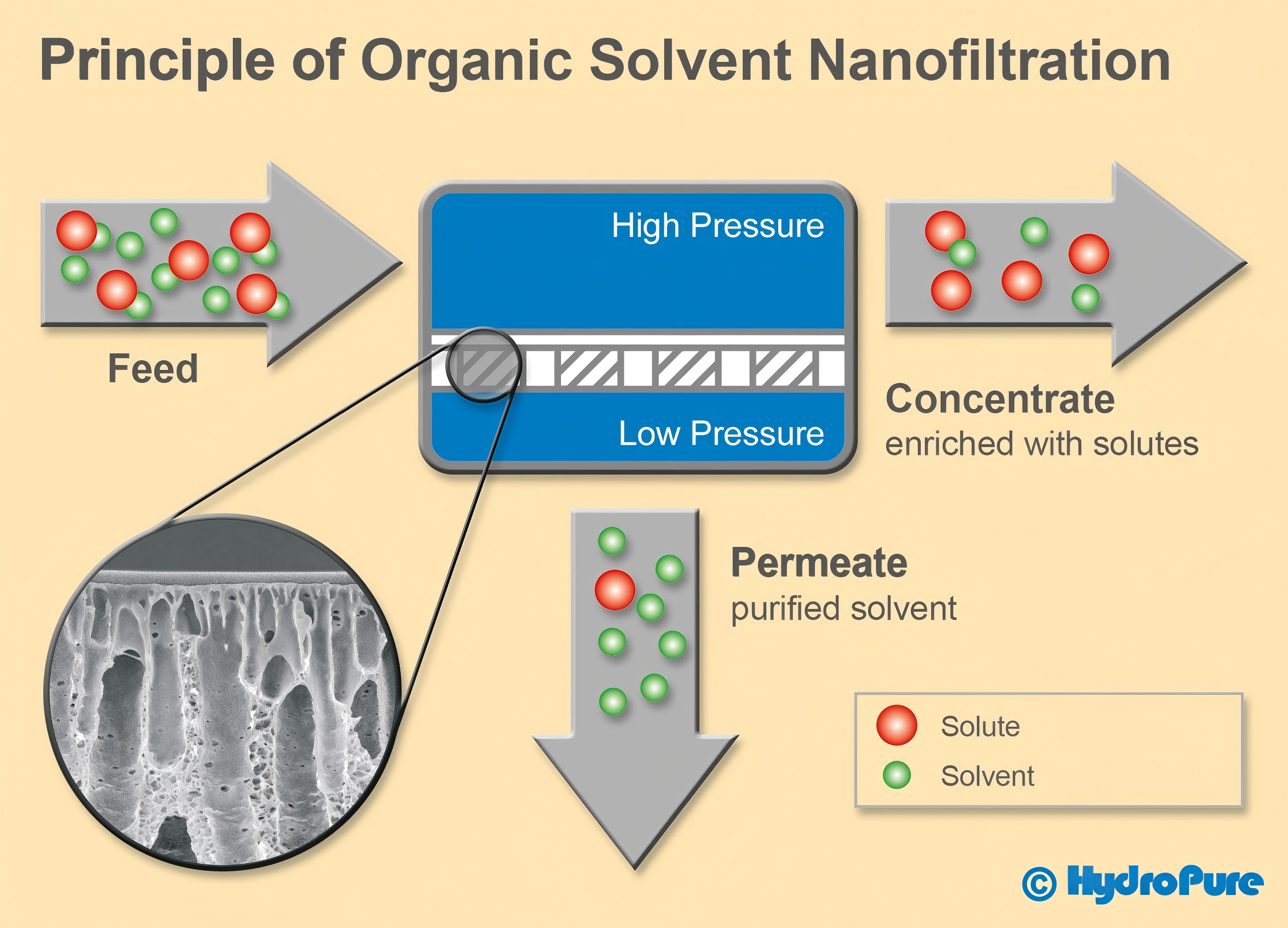 scheme_principle_organic_solvent_nanofiltration(2).png