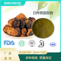 白樺茸提取物  多糖
